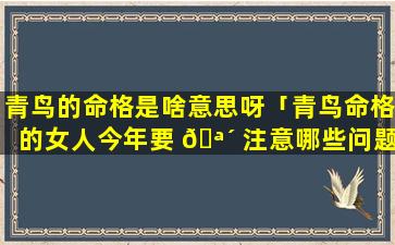 青鸟的命格是啥意思呀「青鸟命格的女人今年要 🪴 注意哪些问题」